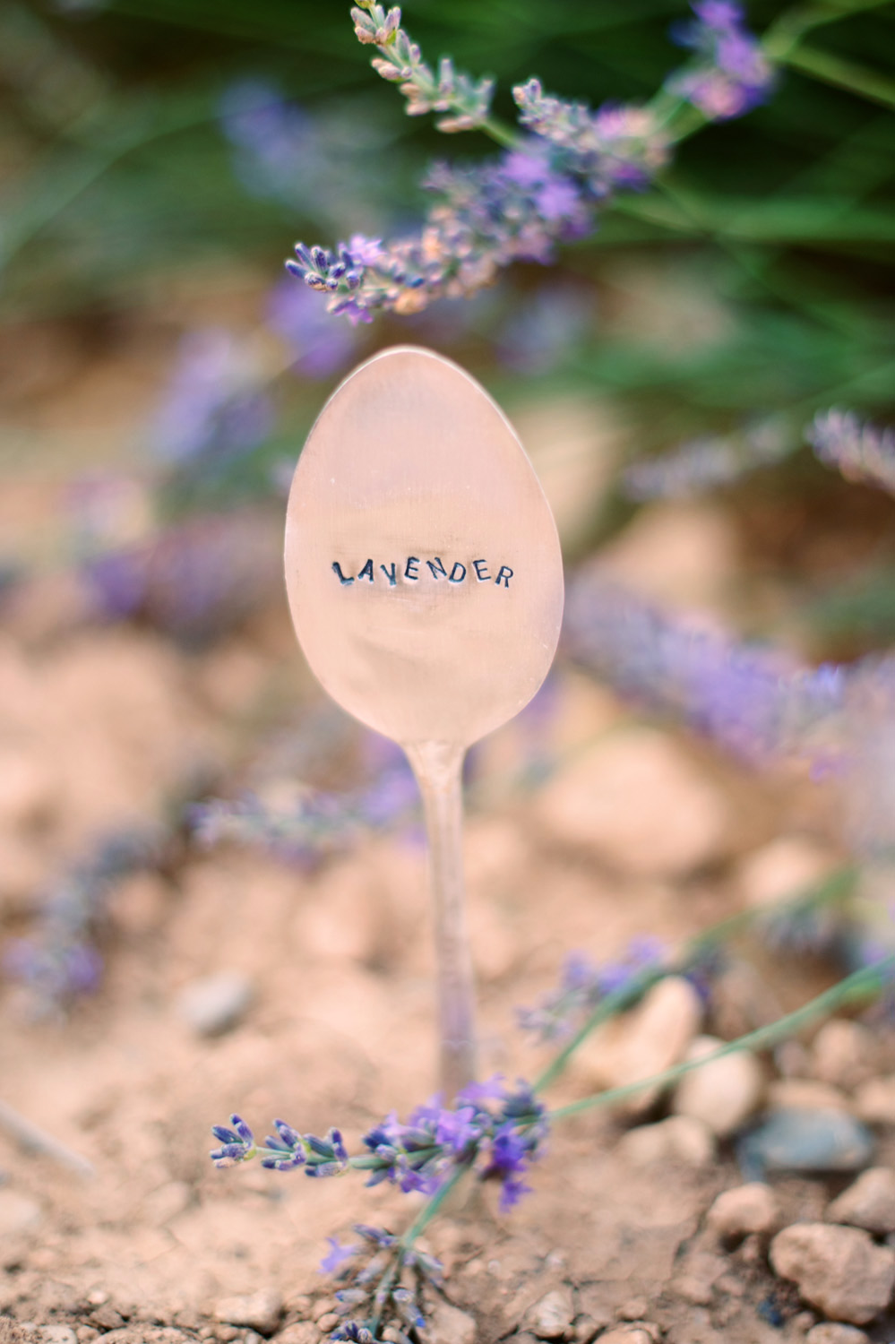 Fotos von einem Paarshooting in der Provence fotografiert von Hochzeitsfotograf XOANDREA